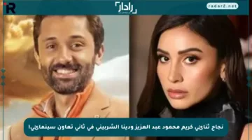 نجاح ثنائي كريم محمود عبد العزيز ودينا الشربيني في ثاني تعاون سينمائي!